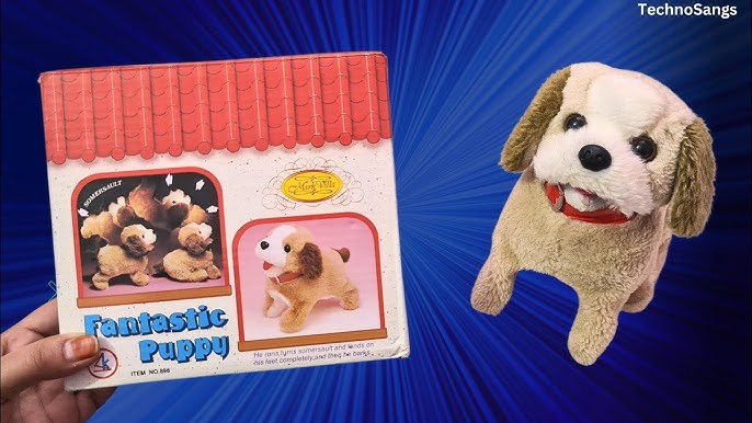 Fantastic Puppy