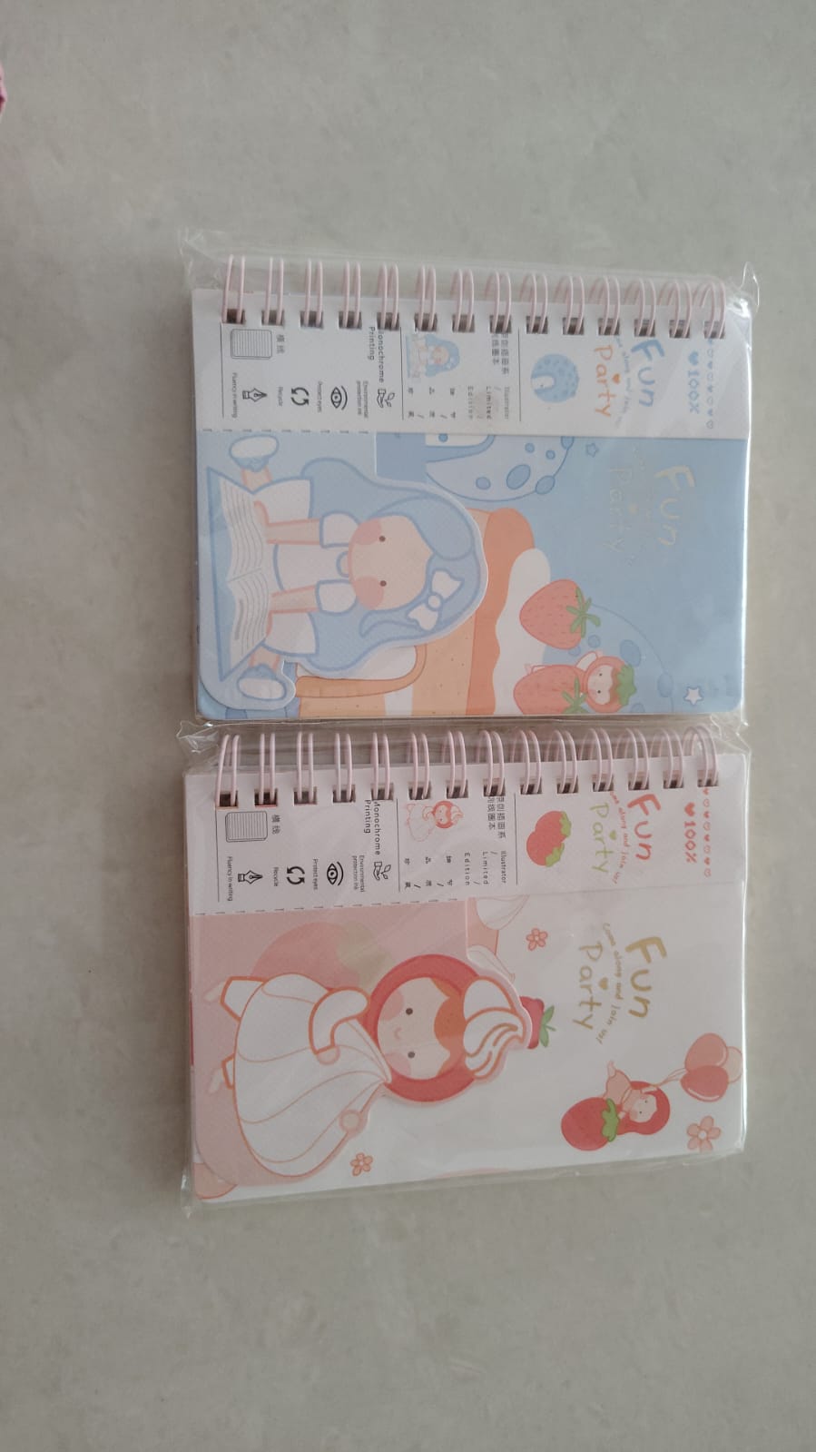 Fun Party Mini Diary