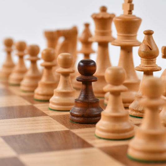 Chess Set for Kids Beginner